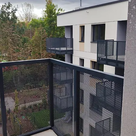 Park Chorzow, Fv, Bezplatny Parking, Klimatyzacja アパート ホジューフ